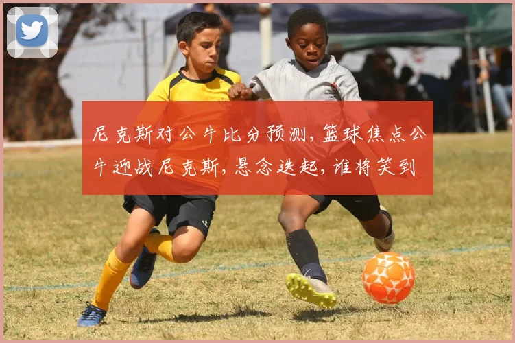 尼克斯对公牛比分预测,篮球焦点公牛迎战尼克斯,悬念迭起,谁将笑到最后