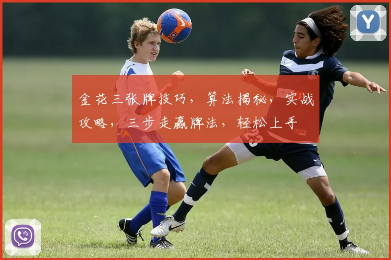 金花三张牌技巧，算法揭秘，实战攻略，三步走赢牌法，轻松上手